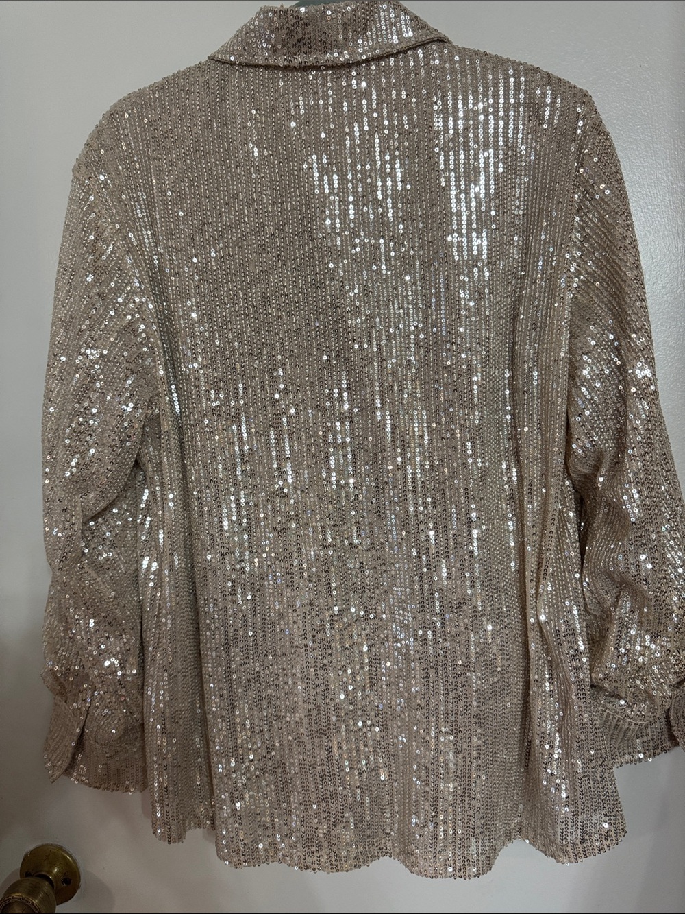 ODDY Taupe Sequin Jean Jacket - Picture 3 of 6